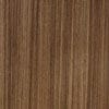 Tafisa_Robusta-417205 Tafisa_Robusta-417205